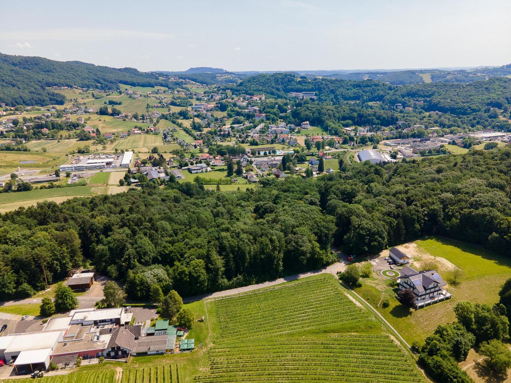 Residenz Styrian Toskana Splendid Bad Gleichenberg Eksteriør billede